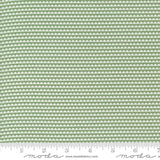a ruler with a green and white pattern on it