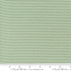 a ruler with a green and white pattern on it