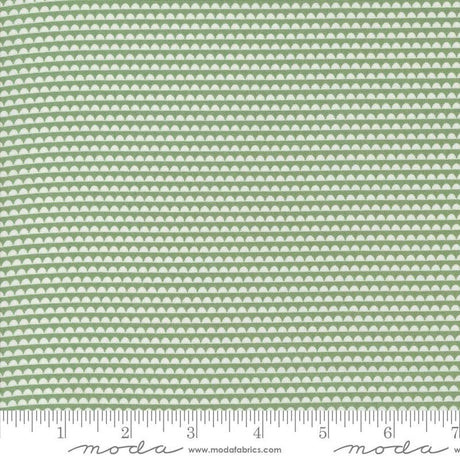 a ruler with a green and white pattern on it