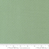 a ruler is shown with a green background