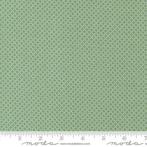 a ruler is shown with a green background