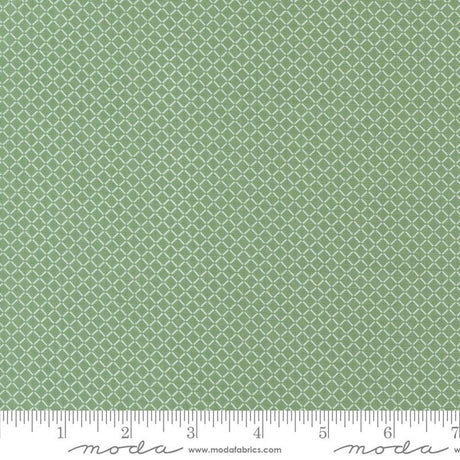 a ruler is shown with a green background