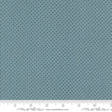 a ruler with a blue background that has a pattern on it