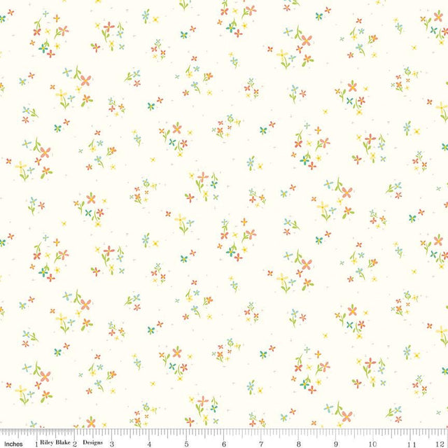 a white background with colorful stars on it