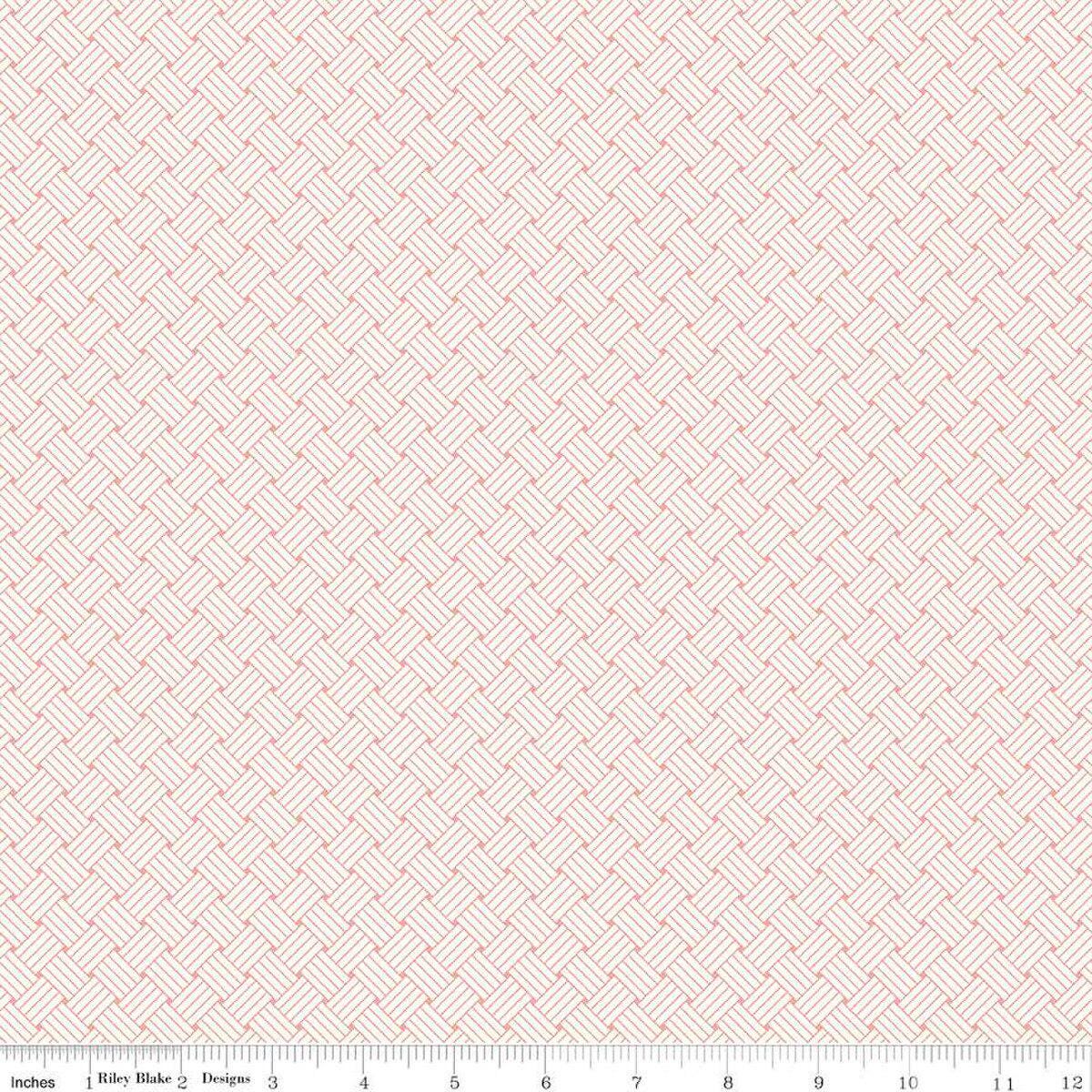Melody Basket Apricot C15147-Apricot by Beverly McCullough for Riley Blake Designs Sold in 1/2 yard increments