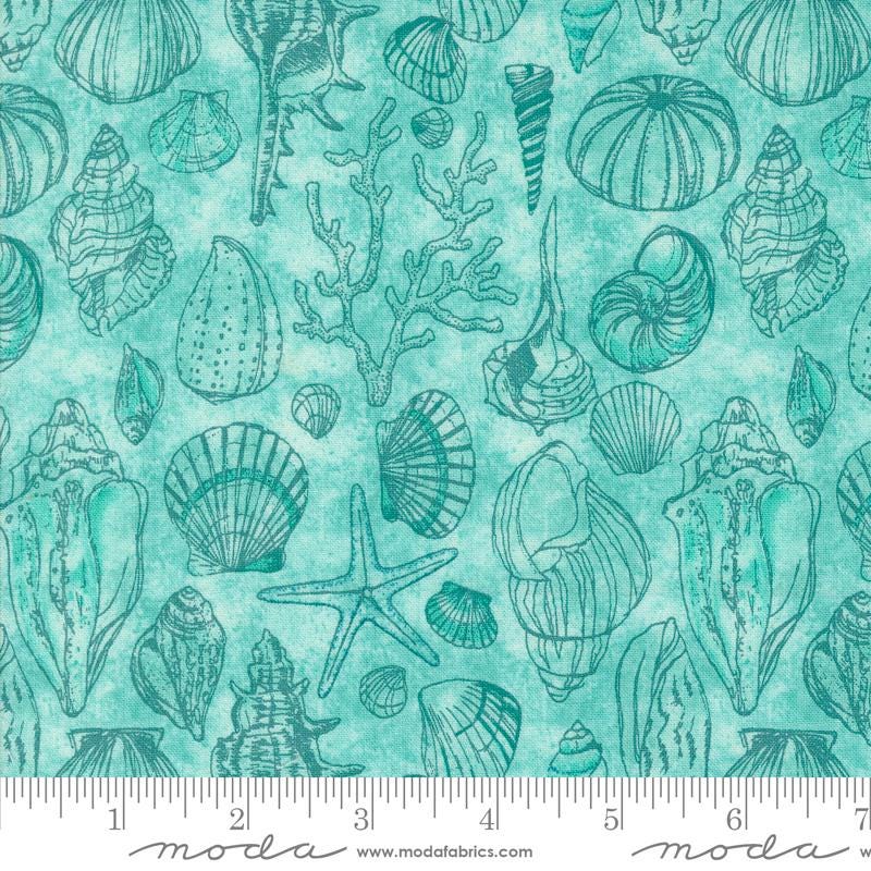 a blue and green background with sea shells