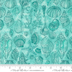 a blue and green background with sea shells