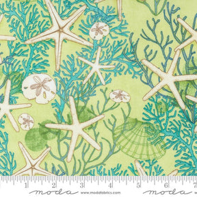 a green background with starfish and corals