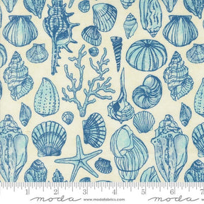 a close up of a blue and white pattern of seashells