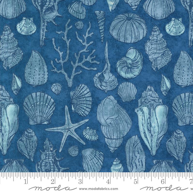 a blue background with sea shells and starfish