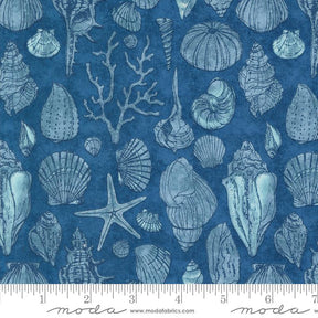 a blue background with sea shells and starfish