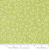 a ruler with a green background with white flowers