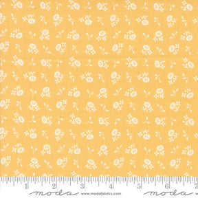 a yellow background with white flowers on it