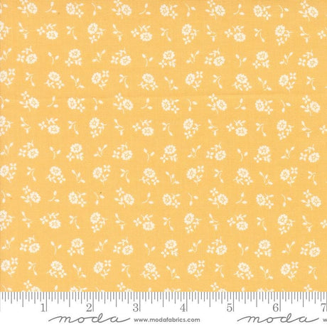 a yellow background with white flowers on it