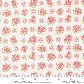 a white background with pink flowers and green leaves