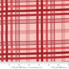 a red and white plaid fabric with a ruler