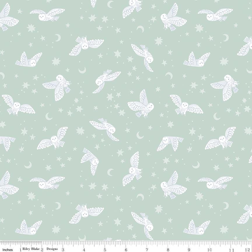 a green background with white birds and stars