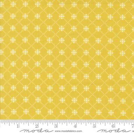 a ruler with a yellow background