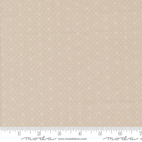 a ruler is shown with a beige background