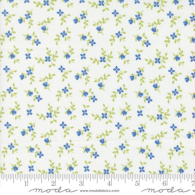 a white background with blue flowers and green leaves