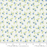 a white background with blue flowers and green leaves