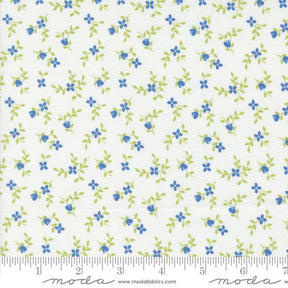 a white background with blue flowers and green leaves