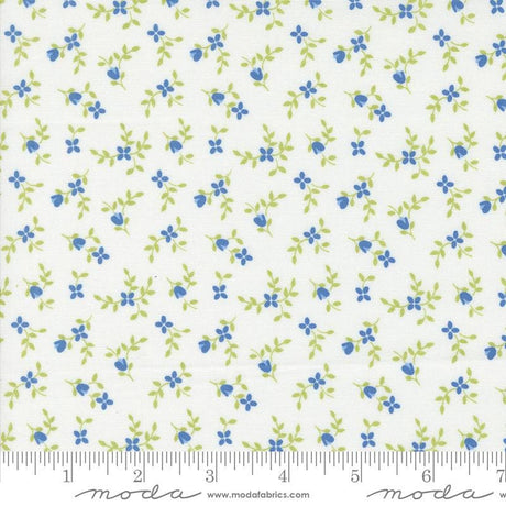 a white background with blue flowers and green leaves