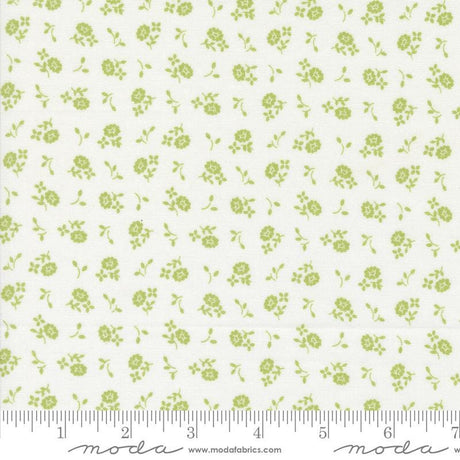 a white background with green flowers on it