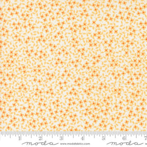 a yellow and white background with small orange flowers