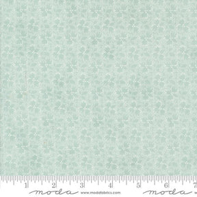 a ruler is shown with a green background