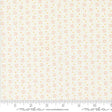 a ruler with a white background with orange dots