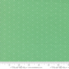 a ruler with a green background with white dots