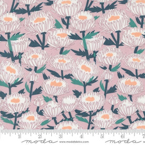 a pink background with white flowers and green leaves