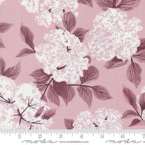 a pink background with white flowers and leaves
