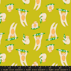 a green background with a pattern of slotty bears