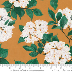 a close up of a flower on an orange background