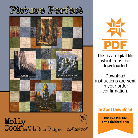 Picture Perfect Quilt Pattern Only - INSTANT DIGITAL DOWNLOAD - From Heidi Cook for Villa Rosa Designs Size 56