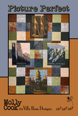 Picture Perfect Quilt Pattern Only - INSTANT DIGITAL DOWNLOAD - From Heidi Cook for Villa Rosa Designs Size 56" x 72"