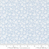 a white and blue flower pattern on a light blue background