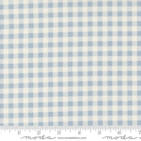 a blue and white checkered fabric with a ruler