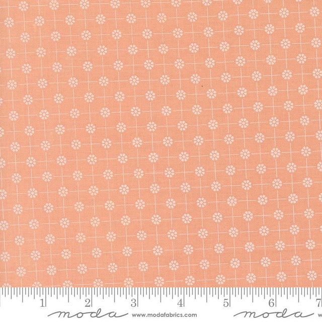 Cottage Charm Pixie Enjoyable Peach 31755-19 by Heather Briggs of My Sew Quilty Life Sold in 1/2 yard increments