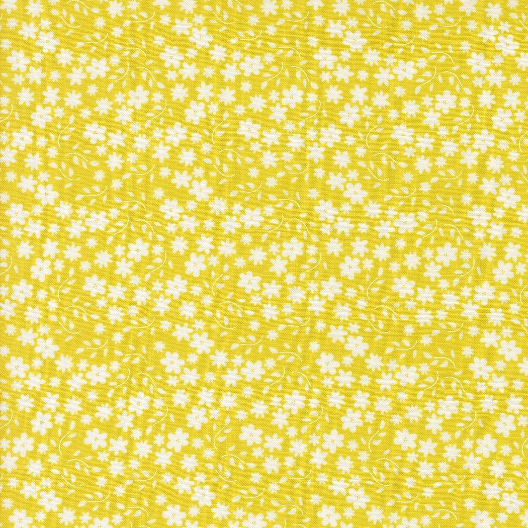 a yellow background with white flowers on it