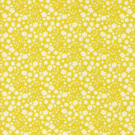 a yellow background with white flowers on it