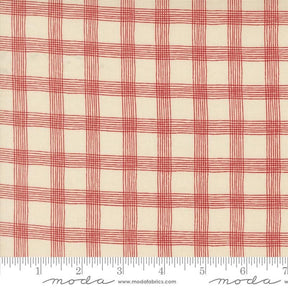 a red and white checkered fabric with a ruler