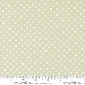 a ruler with white dots on a light green background