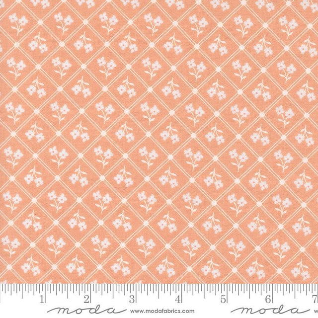 a pink and white flower pattern on a pink background