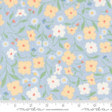 a blue background with yellow and white flowers