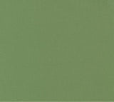 Moda Bella Solids Prairie Green Yardage By Moda 9900-102 Sold in 1/2 yard increments