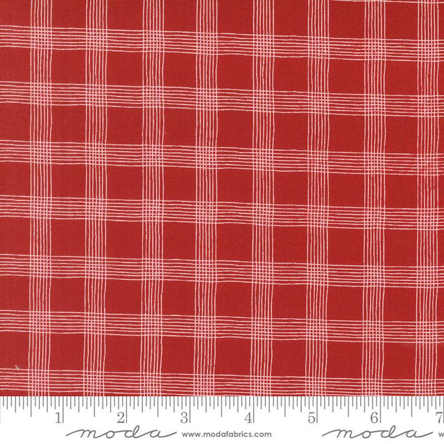 a red and white checkered fabric with a ruler