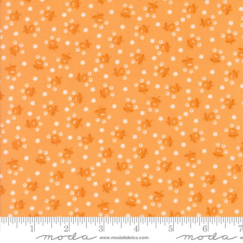 an orange background with small white flowers